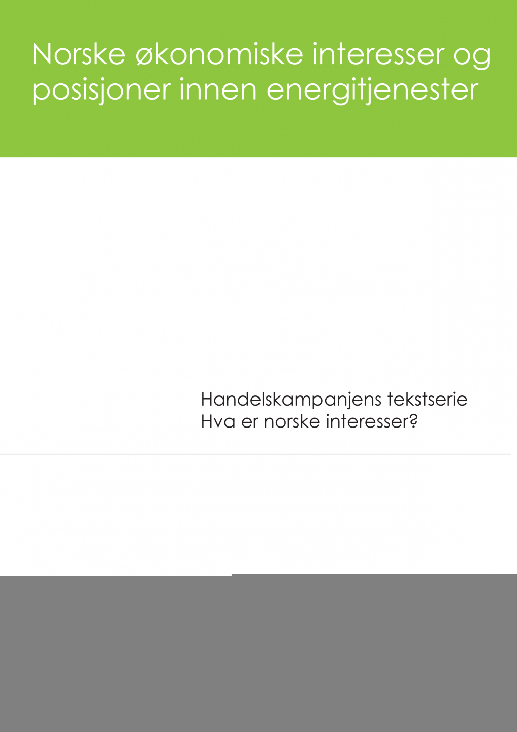 Norske økonomiske interesser og posisjoner innen energitjenester