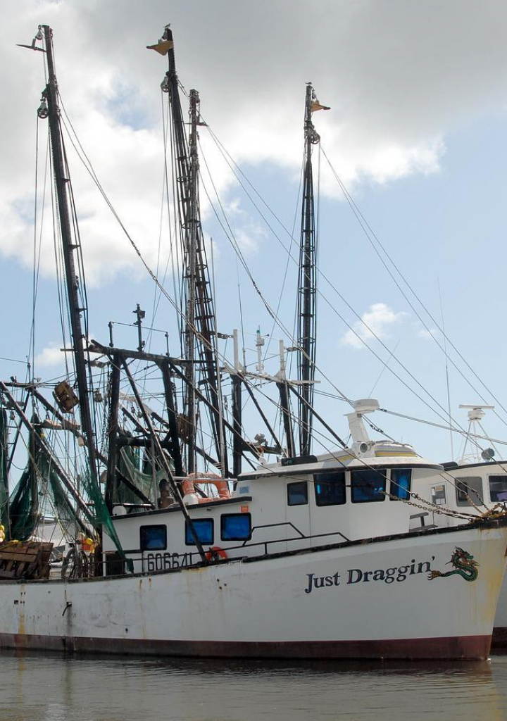 Åpent brev fra internasjonalt sivilsamfunn til ministrene om WTO fiskerisubsidieforhandlingene