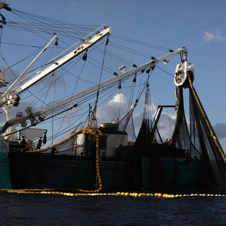 Småskalafiskere rammes av WTO-forslag