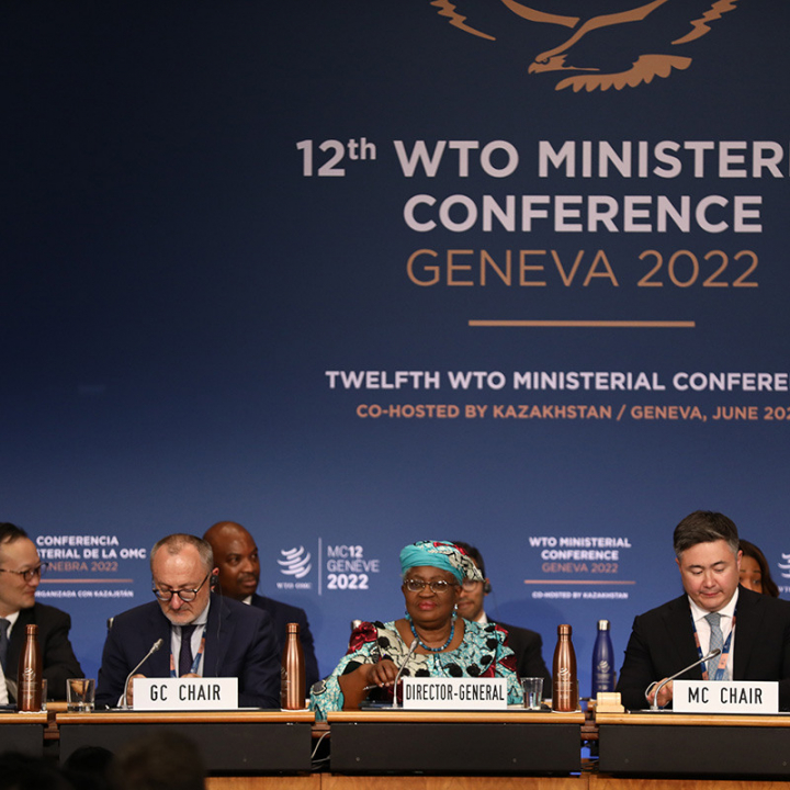 WTO: ministerkonferansen MC12 utfall