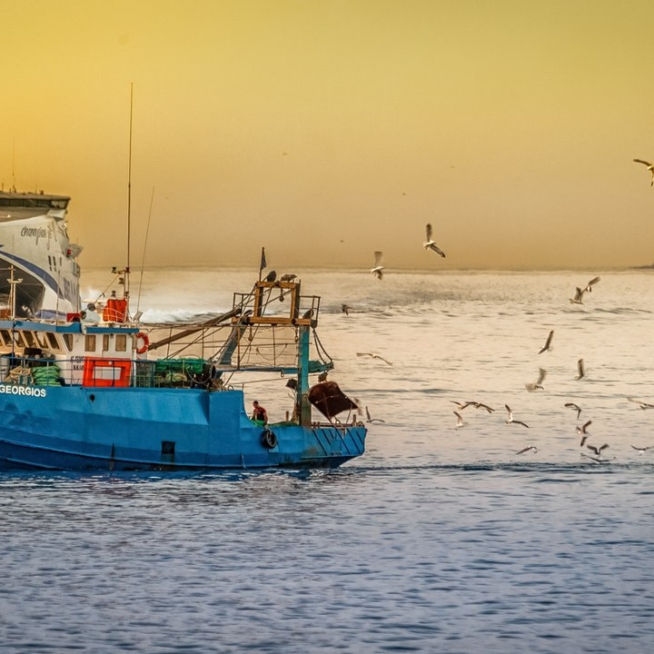 Kronikk: – Skal WTO avgjøre fremtidens forvaltning av fisken i havet?